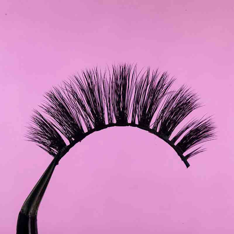 Bossy Lashes